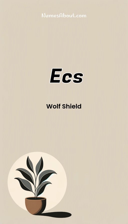 Meaning of Ecs