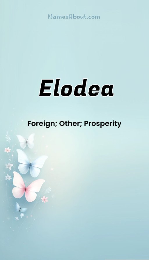 Meaning of Elodea