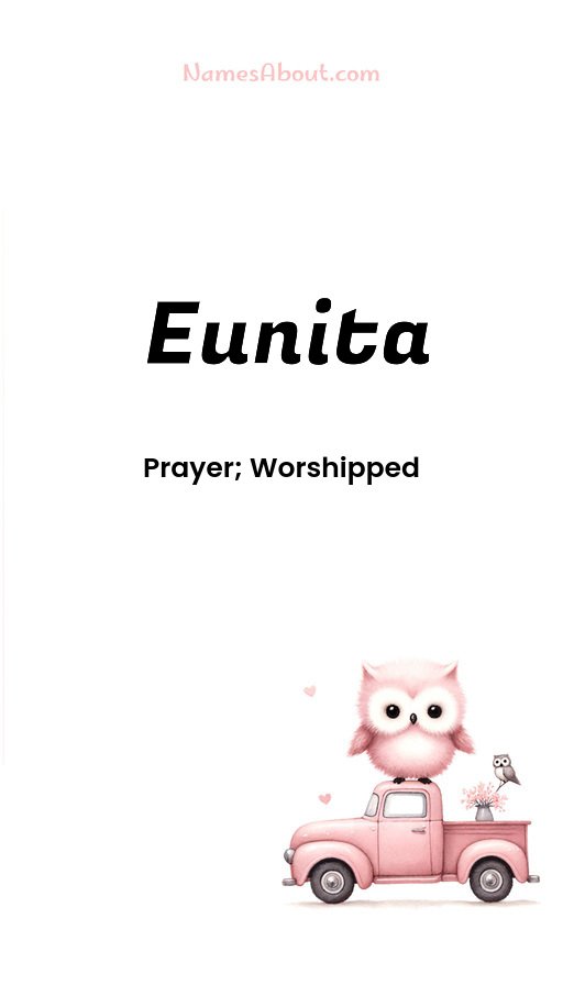 Meaning of Eunita