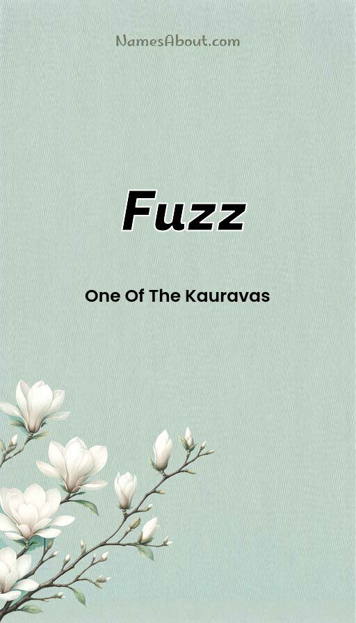 Meaning of Fuzz