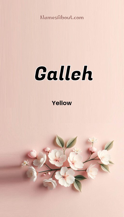 Meaning of Galleh