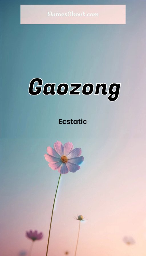 Meaning of Gaozong