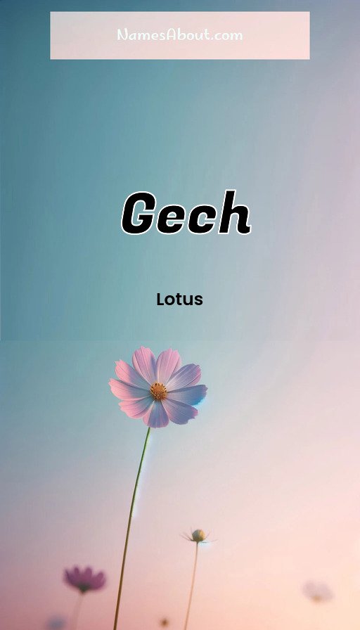 Meaning of Gech