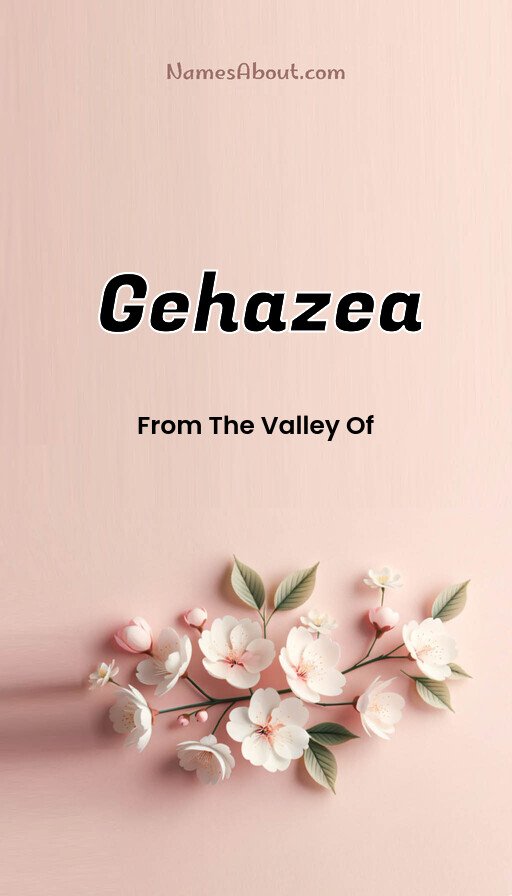 Meaning of Gehazea