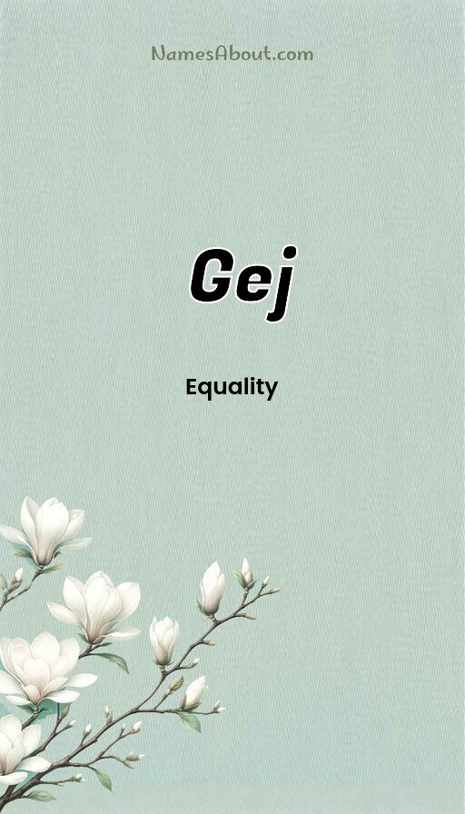 Meaning of Gej