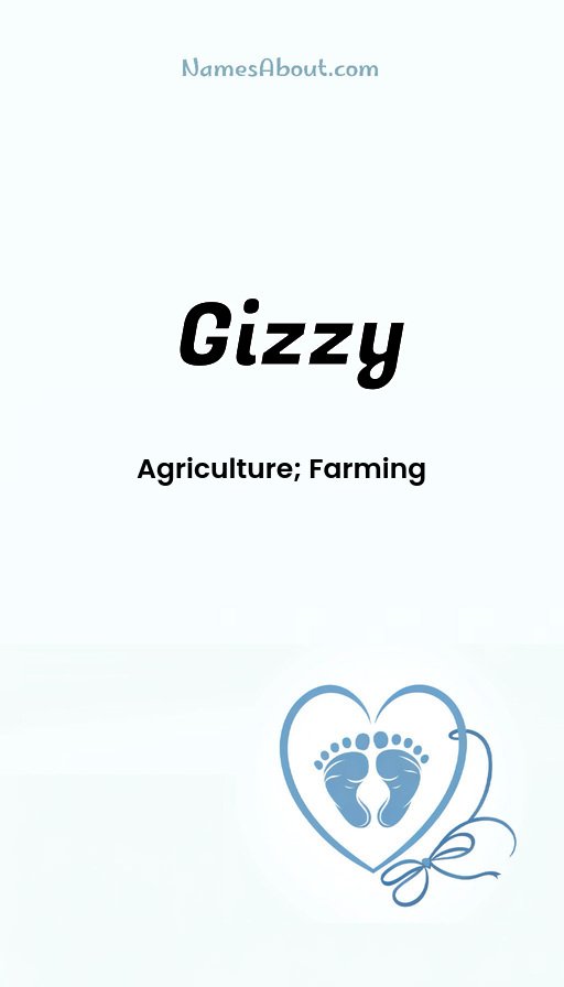 Meaning of Gizzy