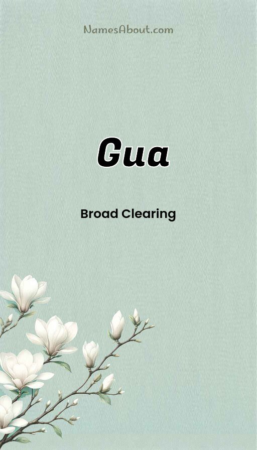 Meaning of Gua