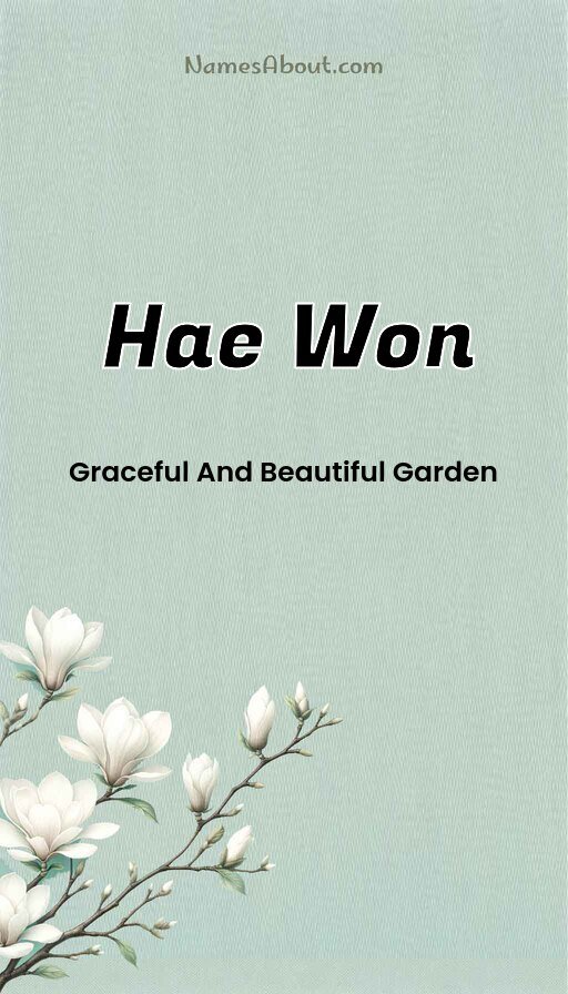 Meaning of Hae won