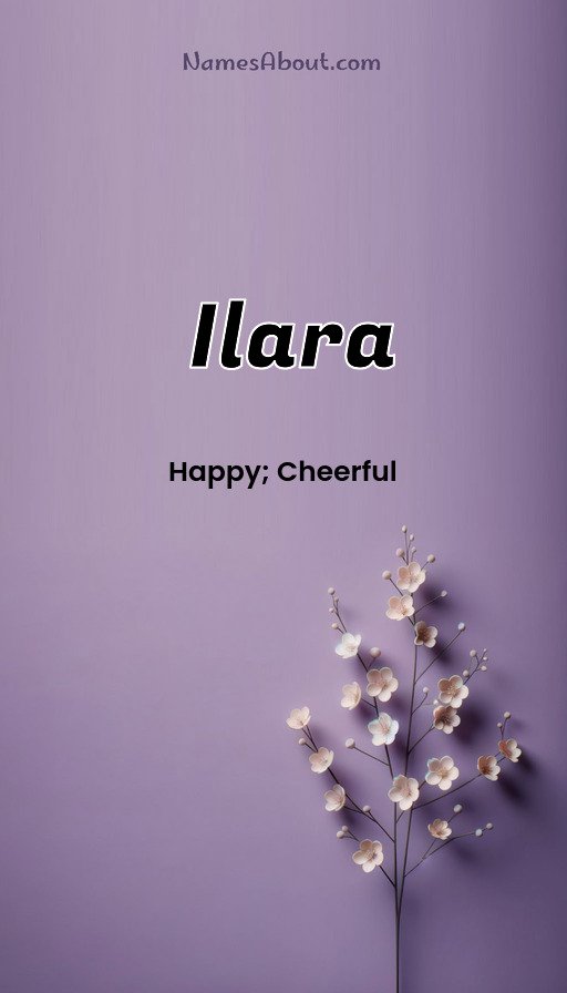 Meaning of Ilara