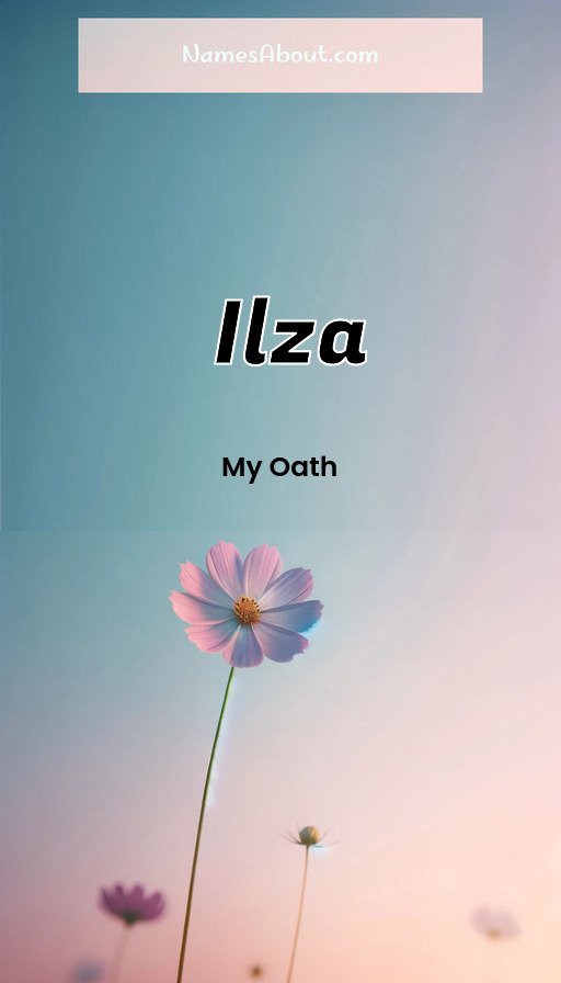 Meaning of Ilza