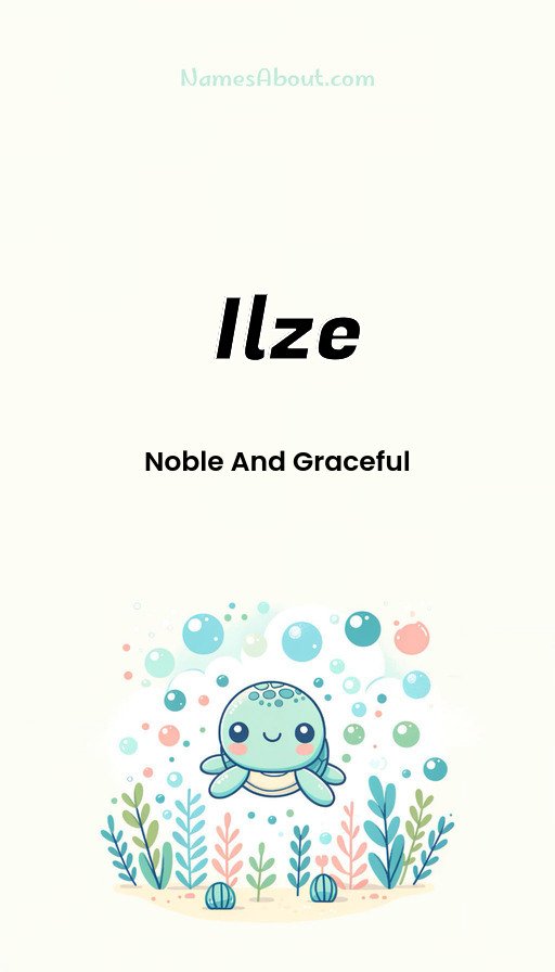 Meaning of Ilze