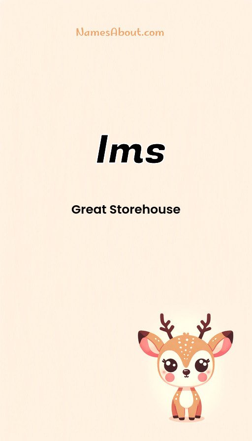 Meaning of Ims