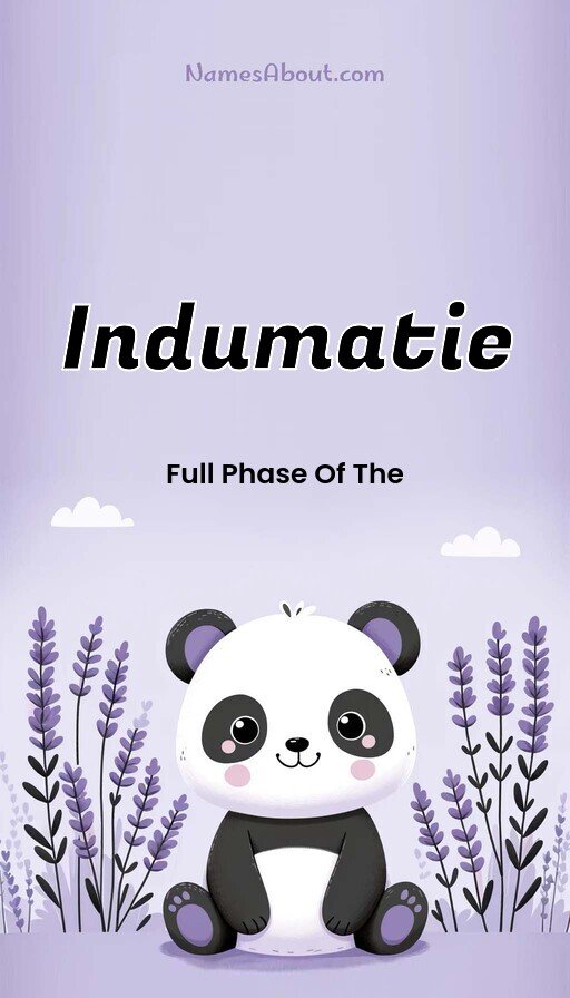 Meaning of Indumatie