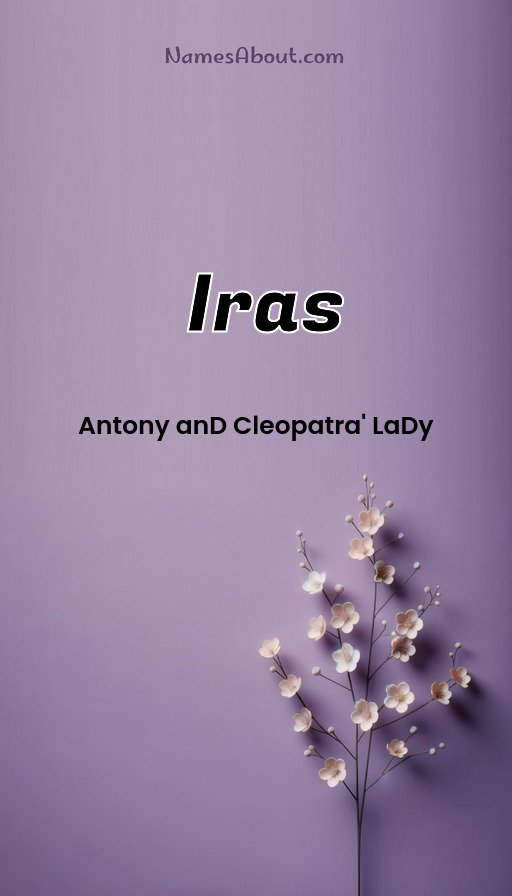 Meaning of Iras