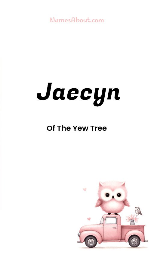 Meaning of Jaecyn