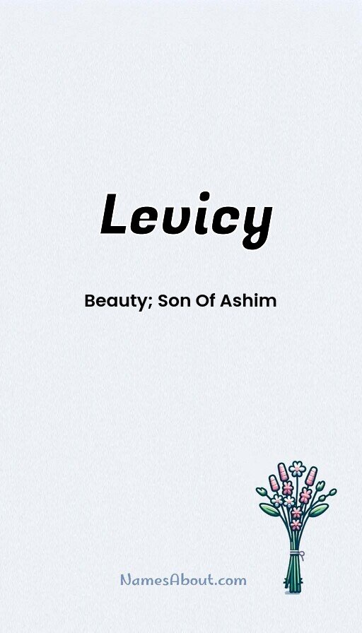 Meaning of Levicy