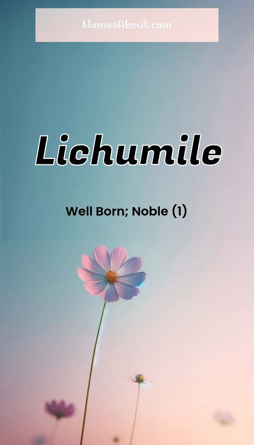 Meaning of Lichumile