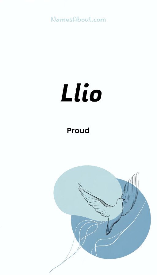 Meaning of Llio