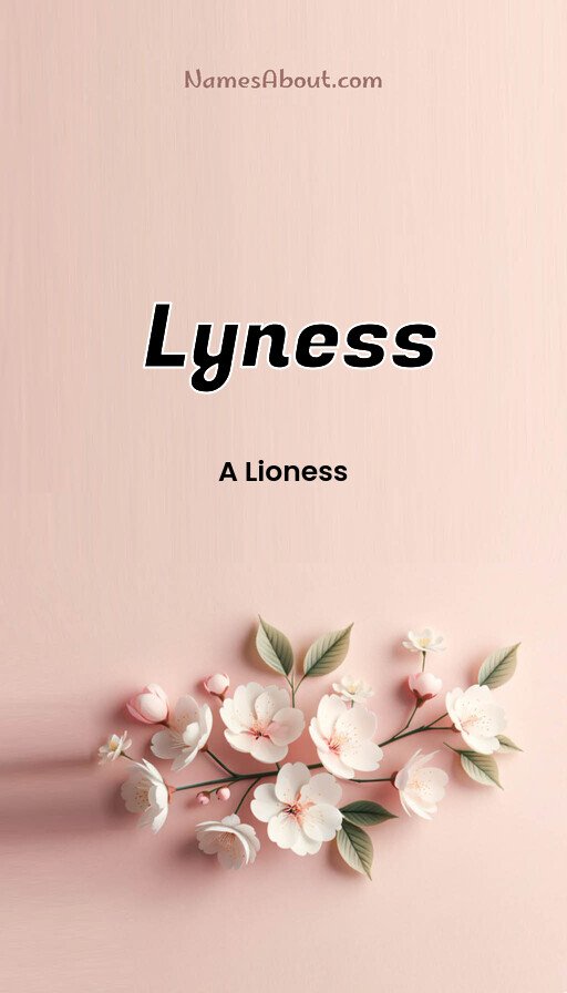 Meaning of Lyness