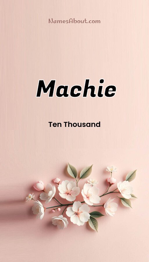 Meaning of Machie
