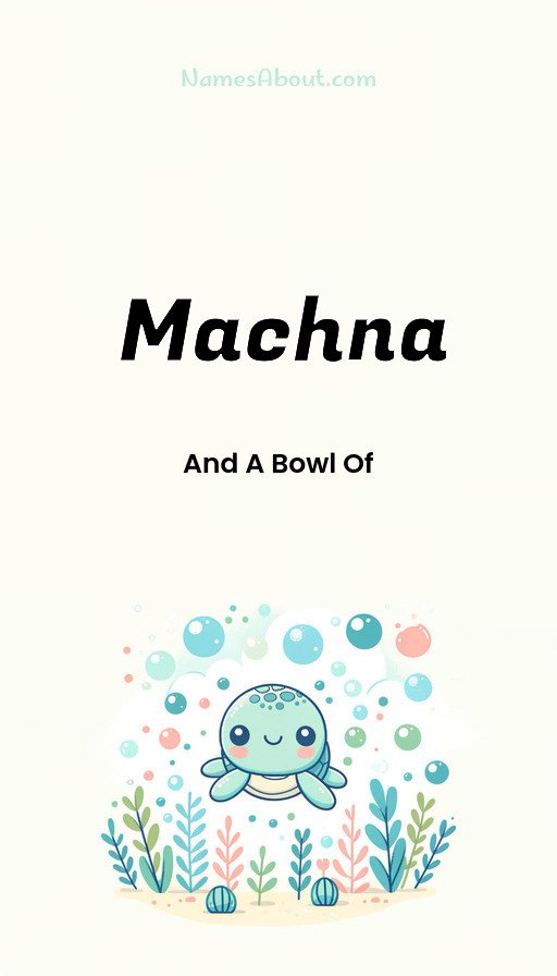 Meaning of Machna