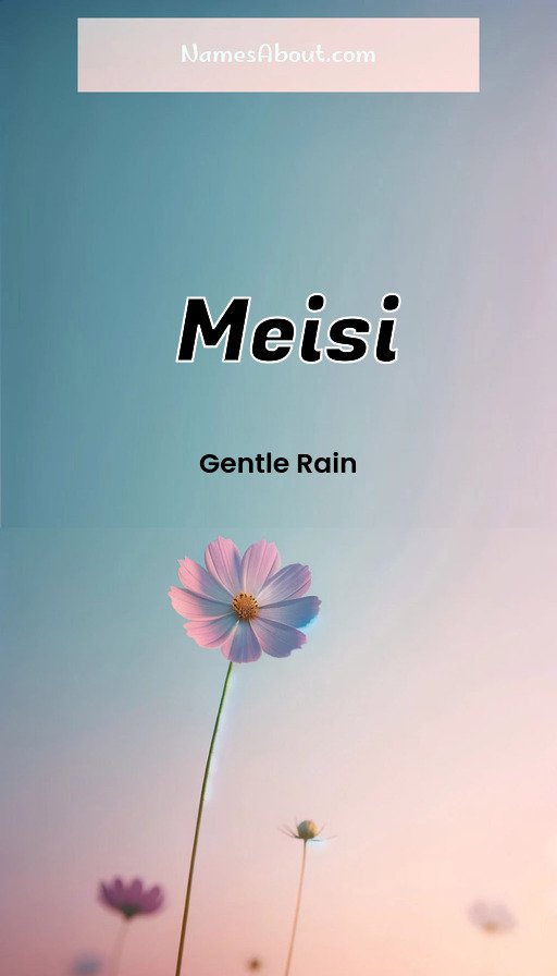 Meaning of Meisi