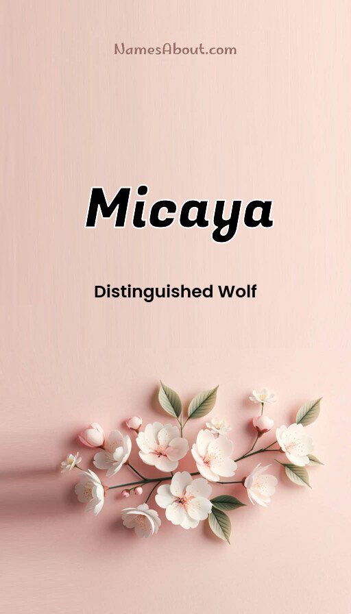 Meaning of Micaya