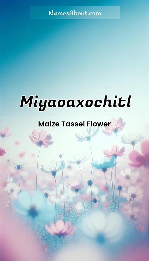 Meaning of Miyaoaxochitl