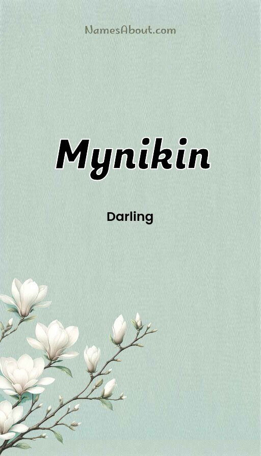 Meaning of Mynikin