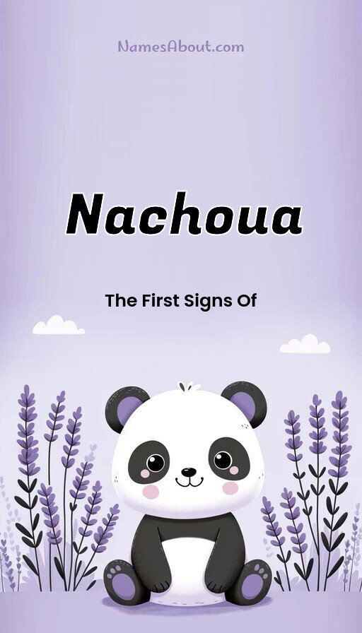 Meaning of Nachoua