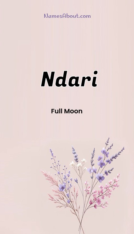 Meaning of Ndari