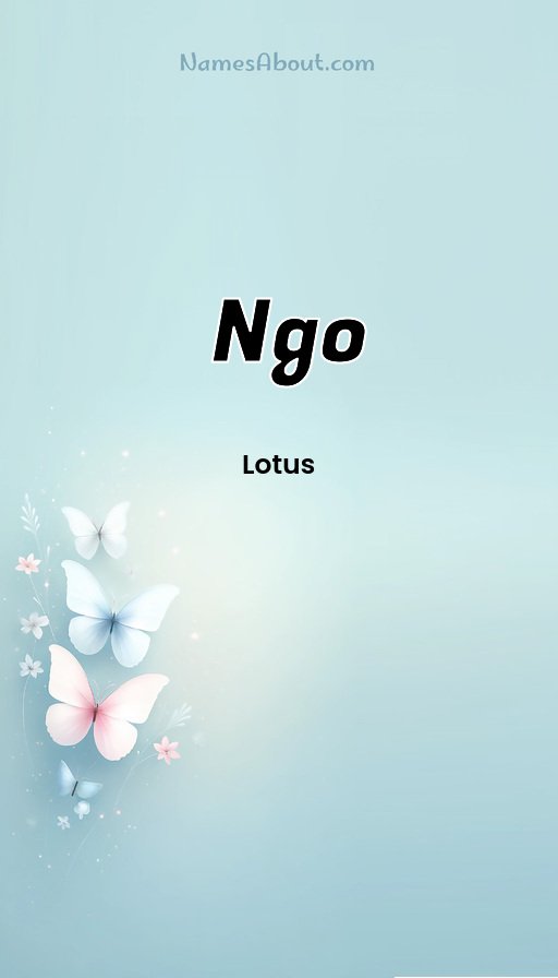 Meaning of Ngo