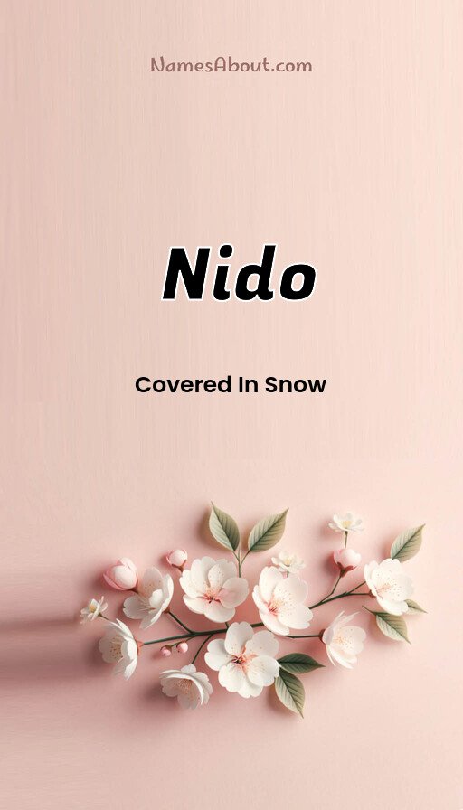 Meaning of Nido