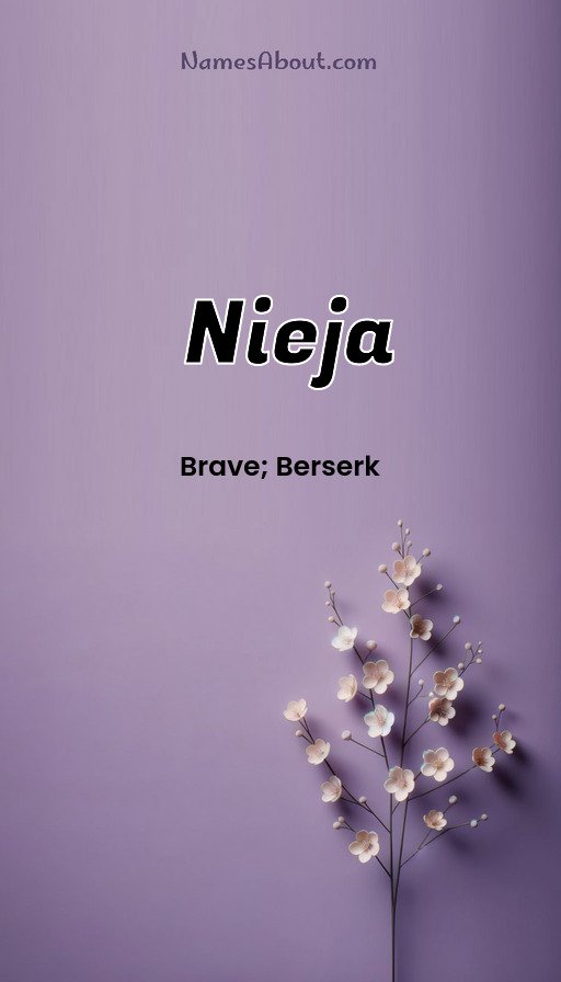 Meaning of Nieja