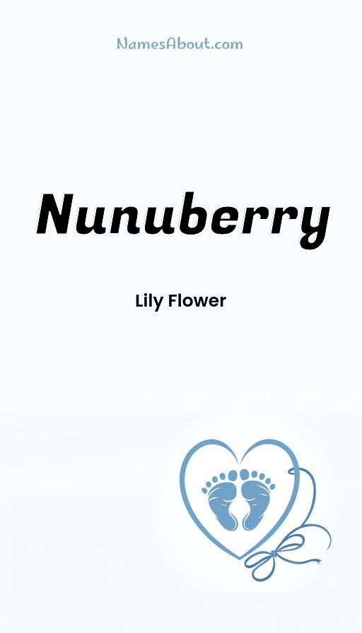 Meaning of Nunuberry