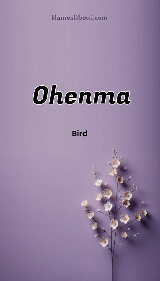 Meaning of Ohenma