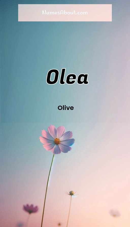 Meaning of Olea