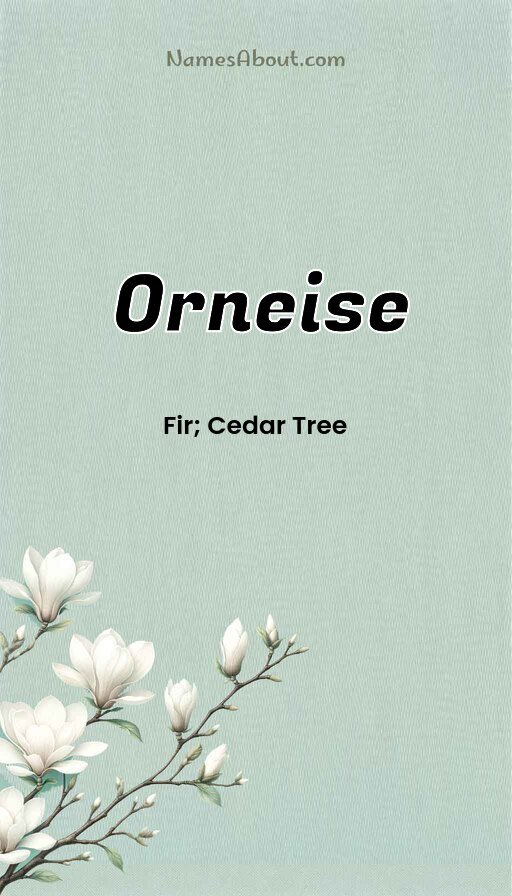 Meaning of Orneise