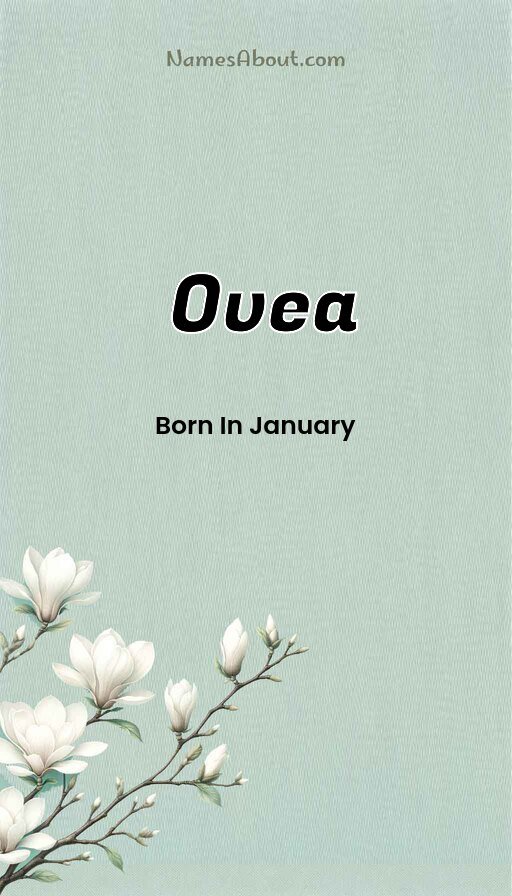 Meaning of Ovea