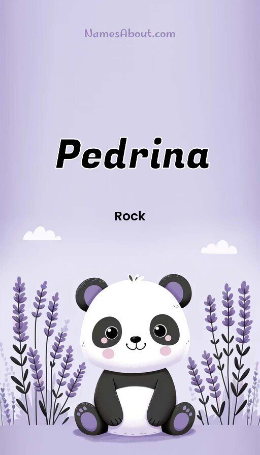 Meaning of Pedrina