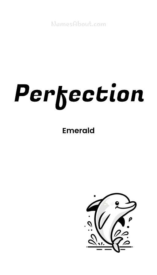 Meaning of Perfection