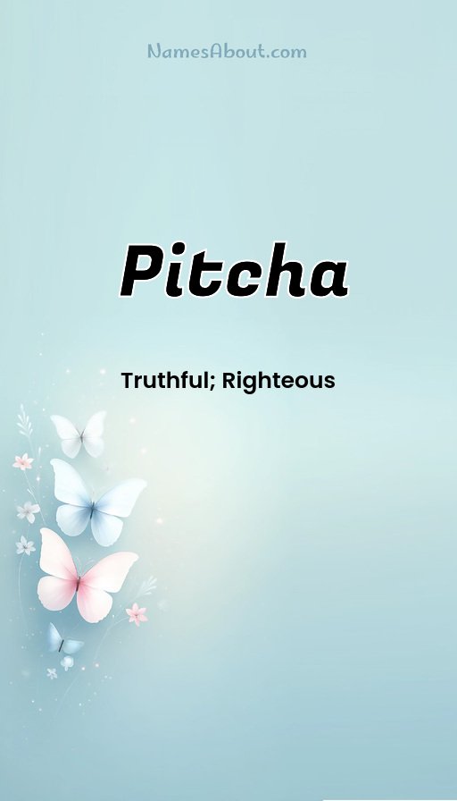 Meaning of Pitcha