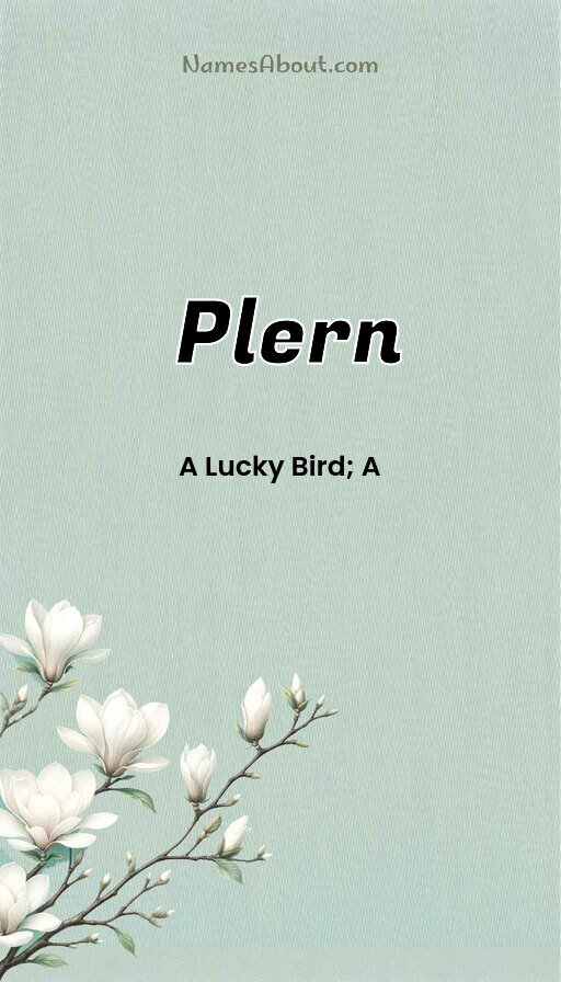 Meaning of Plern