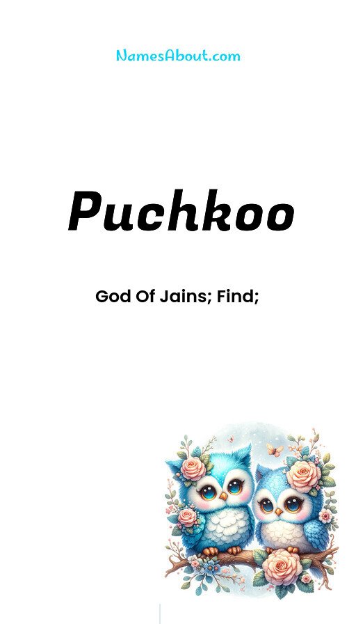 Meaning of Puchkoo