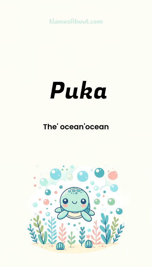 Meaning of Puka
