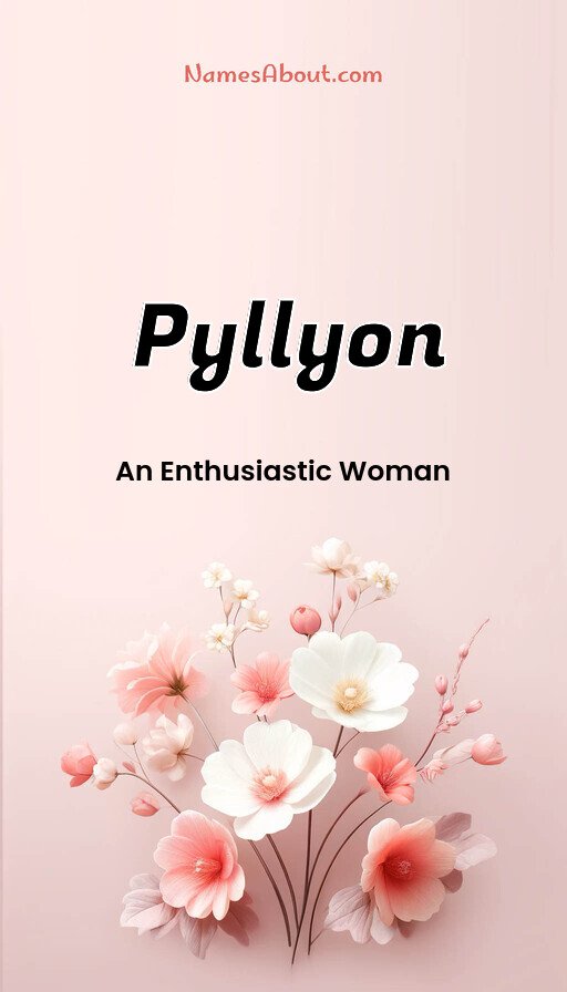 Meaning of Pyllyon