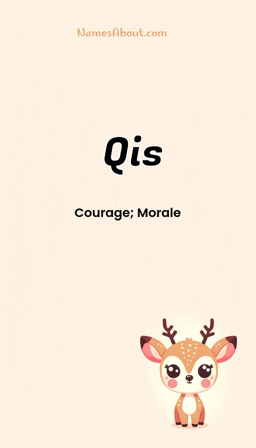 Meaning of Qis