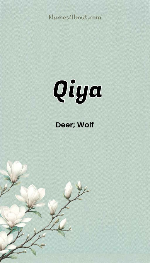 Meaning of Qiya