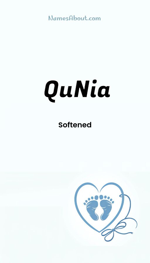 Meaning of QuNia