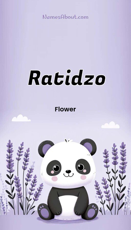 Meaning of Ratidzo